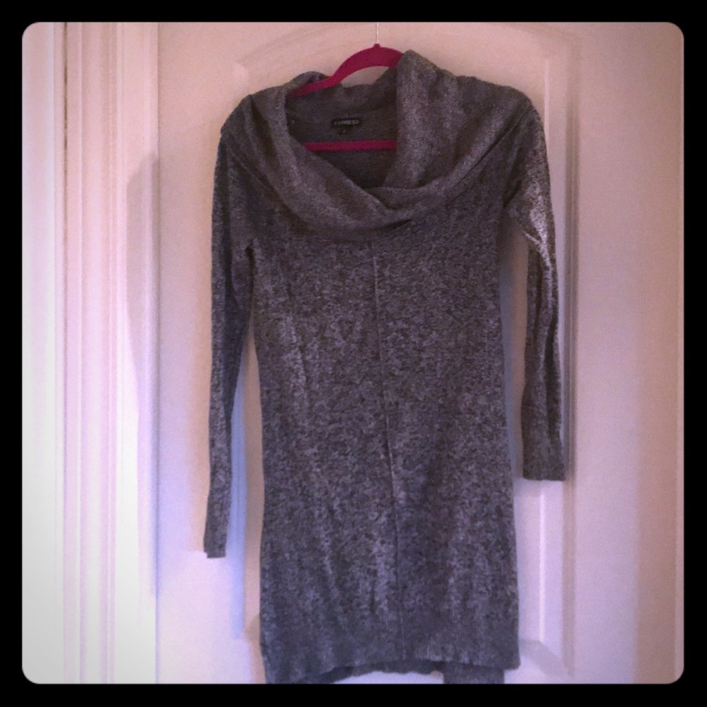 Express sweater dress
